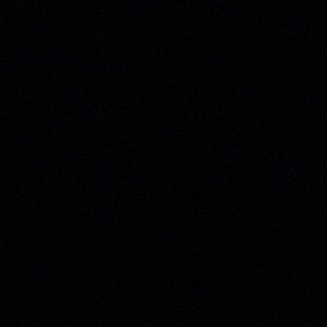 Meet your Posher, Kelsie